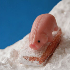 Vignette cochon sur luge série Little World Sandrine Léon