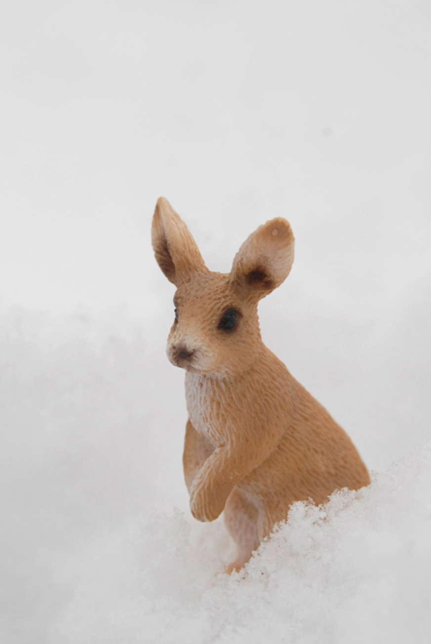 Photo 1 série Little World Sandrine Léon