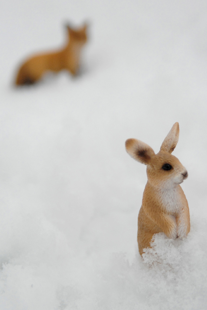 Photo 2 série Little World Sandrine Léon