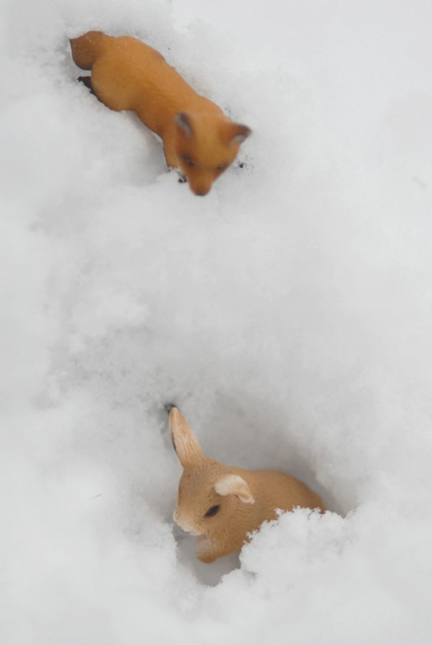 Photo 21 série Little World Sandrine Léon