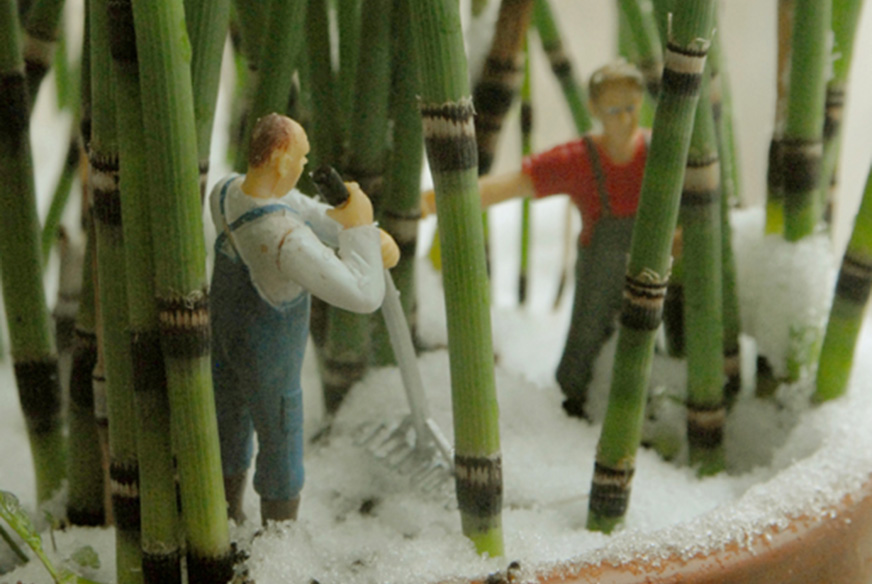 Photo presle série Little World Sandrine Léon